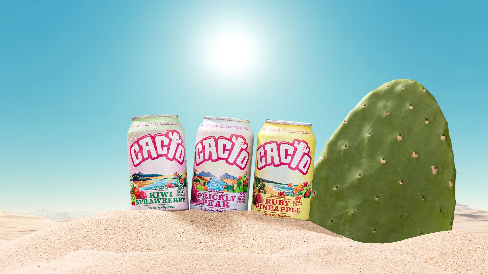 The Benefits of Making PMP Your Imagery Partner