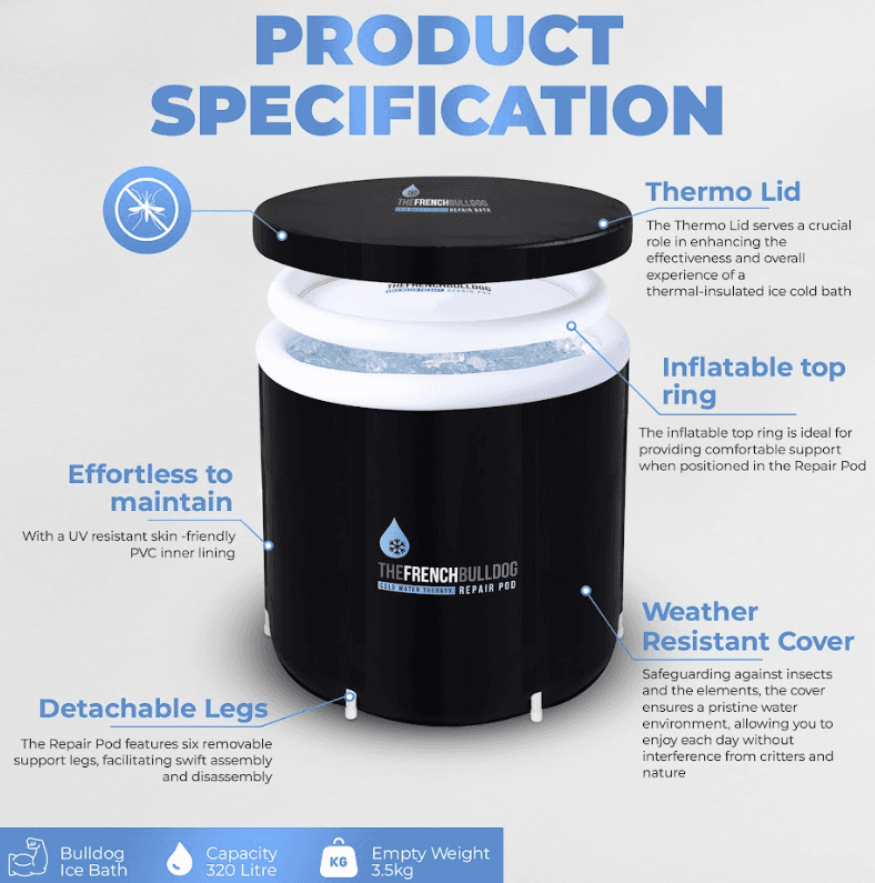 Infographic Studio creative example