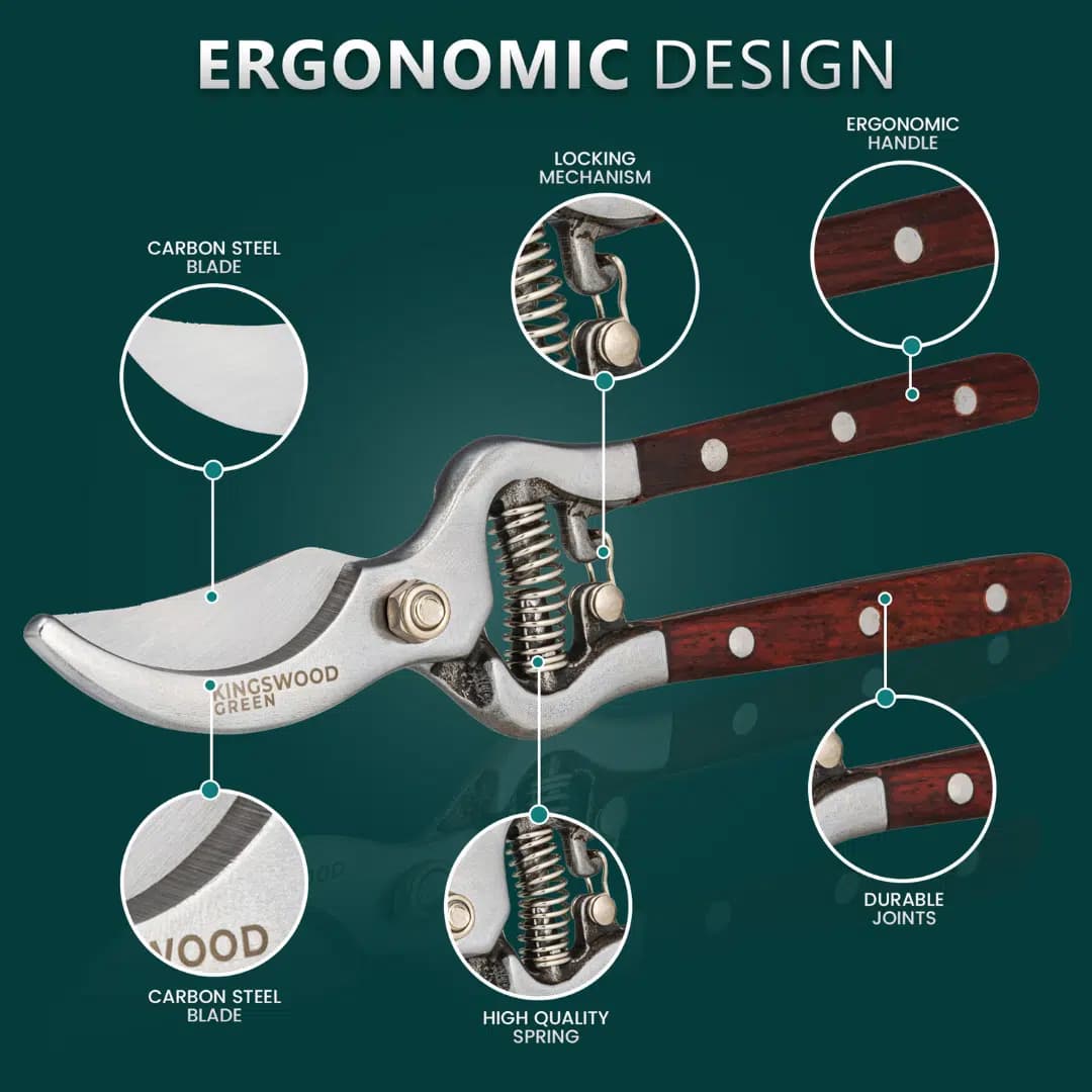 Example graphic showing razor components