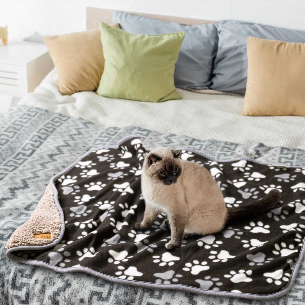 Pet product lifestyle photography - products in home environment UK